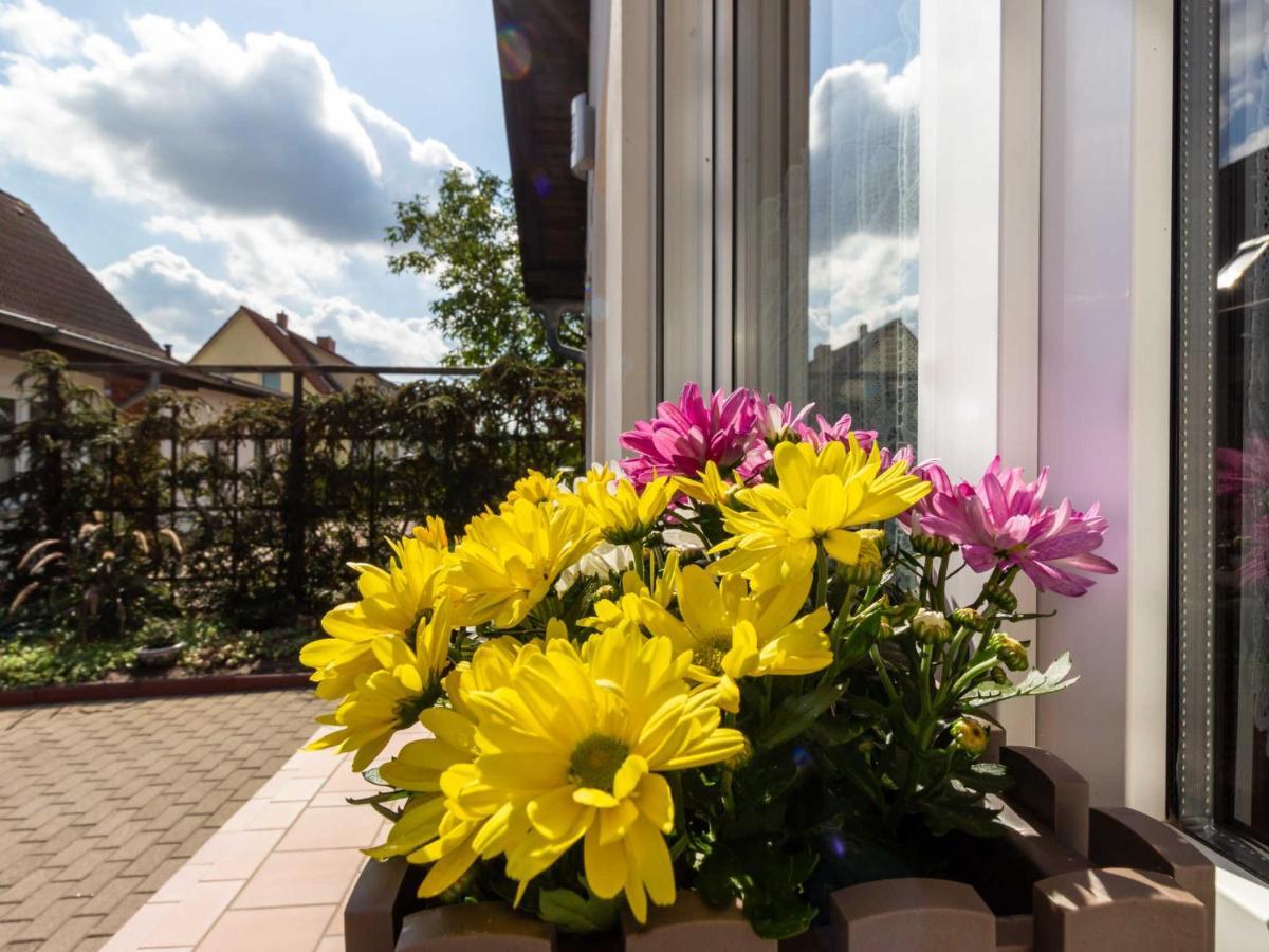 Ferienwohnung Schwarz Gademow Esterno foto